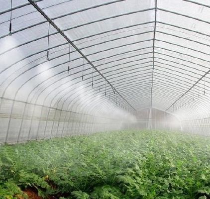 Serre à neige à vibrateur personnalisé pour la plantation de tomates