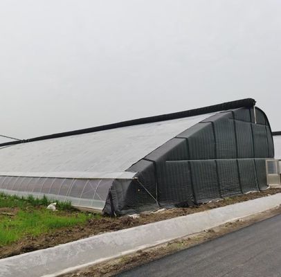 Serre en acier plastique à double arc pour les légumes
