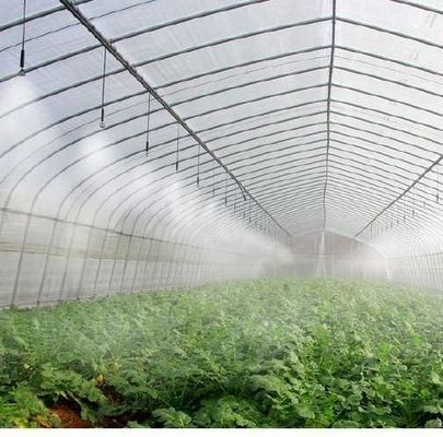 Serre en acier plastique à double arc pour les légumes