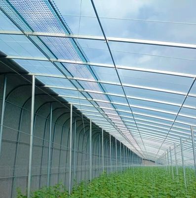 Serre à double arche de conception personnalisée pour la culture de tomates et concombres de grande taille