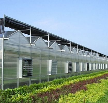 Serre à double arche de conception personnalisée pour la culture de tomates et concombres de grande taille