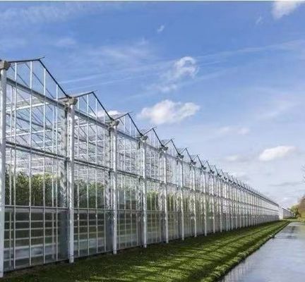 Serre à double arche de conception personnalisée pour la culture de tomates et concombres de grande taille