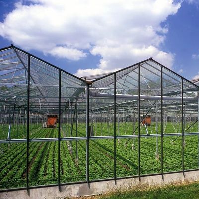 Serre à double couche à la lumière du soleil moderne sur mesure pour les besoins de la plantation de champignons