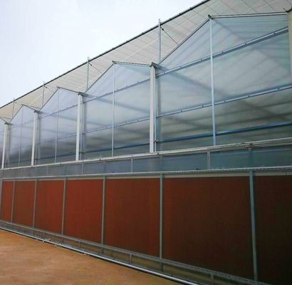 Serre à double couche à la lumière du soleil moderne sur mesure pour les besoins de la plantation de champignons