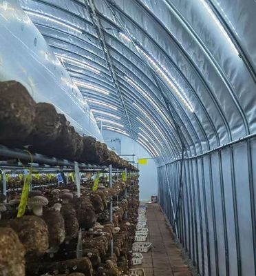 Serre en verre solaire moderne avec système d'irrigation automatique