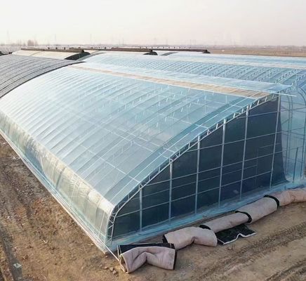 Serre en verre solaire moderne avec système d'irrigation automatique