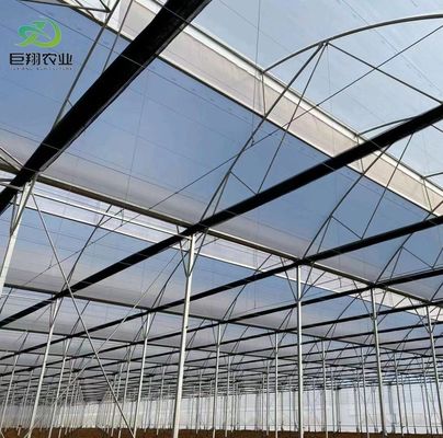 Serre en verre solaire moderne avec système d'irrigation automatique