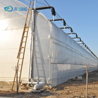 Serre en verre solaire moderne avec système d'irrigation automatique