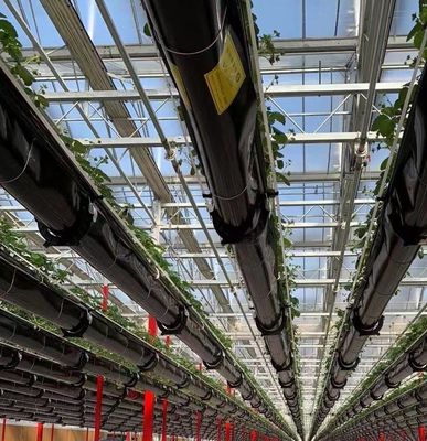Serre solaire intelligente à double couche agricole avec filet anti-insectes