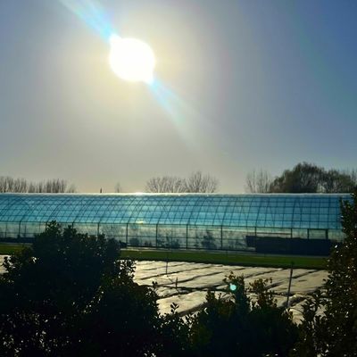 Serre solaire intelligente à double couche agricole avec filet anti-insectes