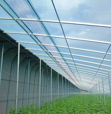 Serre solaire intelligente à double couche agricole avec filet anti-insectes