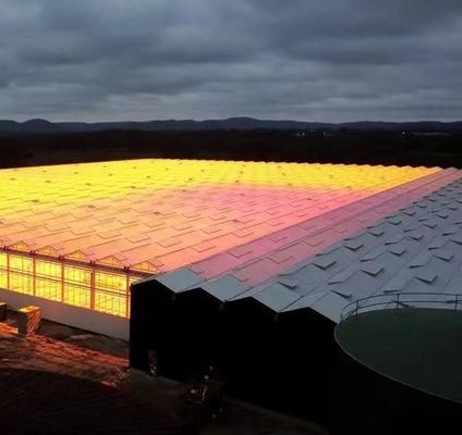 Serre solaire intelligente à double couche agricole avec filet anti-insectes