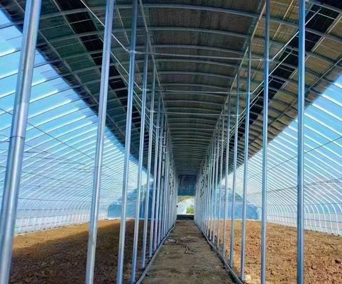 Serre solaire intelligente à double couche agricole avec filet anti-insectes