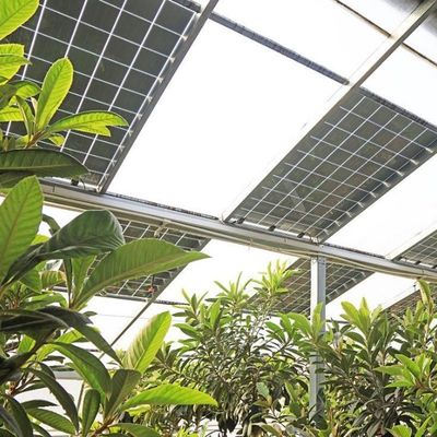 Serre solaire photovoltaïque de type arc multi-span PE/Po en film plastique pour des performances élevées
