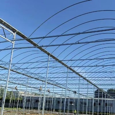 Serre à film multi-span personnalisée pour planter des fleurs 30 jours garantie de remboursement