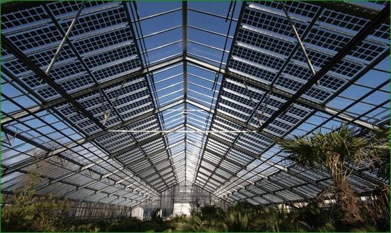 Option de personnalisation pour les serres photovoltaïques commerciales d'isolation thermique