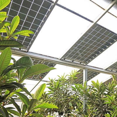 Option de personnalisation pour les serres photovoltaïques commerciales d'isolation thermique