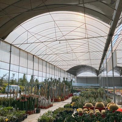 États-Unis Serre à plusieurs étages avec système d'irrigation à goutte à goutte et paiement initial