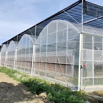 États-Unis Serre à plusieurs étages avec système d'irrigation à goutte à goutte et paiement initial