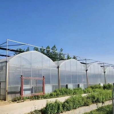 États-Unis Serre à plusieurs étages avec système d'irrigation à goutte à goutte et paiement initial