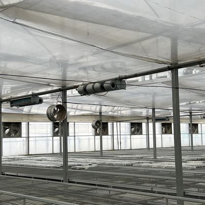 Paquet de serres flexibles pour la production de légumes, à plusieurs étages, poids brut 20.000 kg