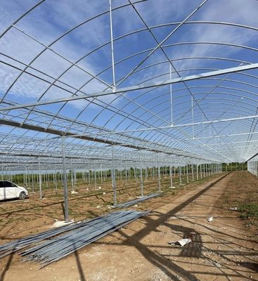 Solution personnalisée de rendement en serre à plusieurs étendues pour la production hydroponique de légumes