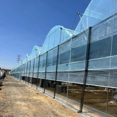Solution personnalisée de rendement en serre à plusieurs étendues pour la production hydroponique de légumes