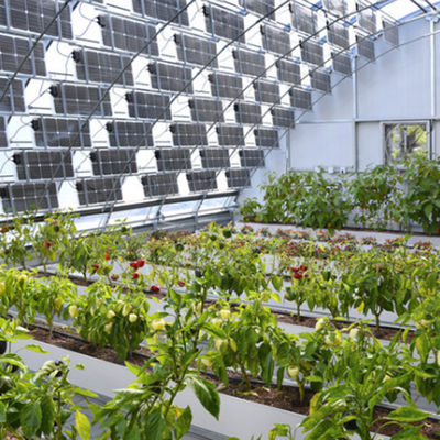 Préservation de la chaleur de serre avec des panneaux photovoltaïques et des réservoirs de grande capacité