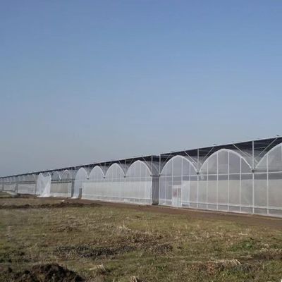 Serre multi-span avec irrigation avancée sur le coût de transport et le délai de livraison