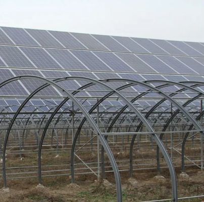 Serre à arc unique à haute humidité avec toiture en forme d'arche/Venloche et panneaux solaires