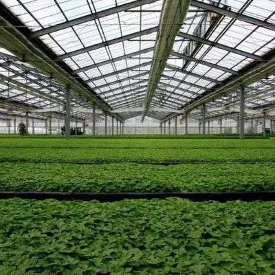 Serre à arc unique à haute humidité avec toiture en forme d'arche/Venloche et panneaux solaires