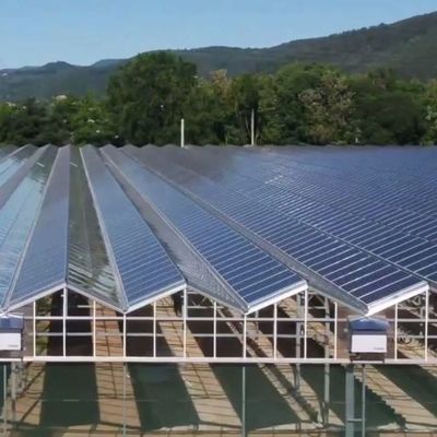 Serre à arc unique à haute humidité avec toiture en forme d'arche/Venloche et panneaux solaires