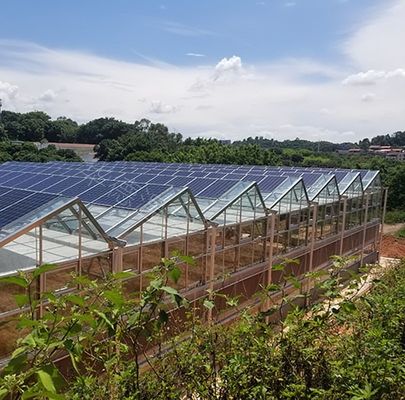 30 jours Retour Remboursements Double couche PE/Po Film plastique Serre solaire photovoltaïque