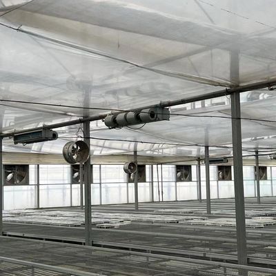Serre à plusieurs étages pour la production de légumes US 20/m2 min. échantillons de commande