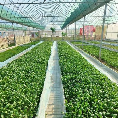 Produit végétal Po Film Serre avec système d'ombrage et remboursement de 30 jours