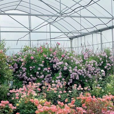 Serre avec système d'ombrage Package Taille 50,00cm * 60,00cm * 50,00cm Monnaie US