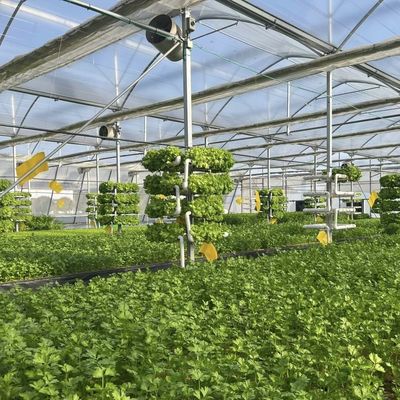 Serre avec système d'ombrage Package Taille 50,00cm * 60,00cm * 50,00cm Monnaie US