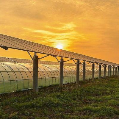 Serre couvrant plusieurs couches pour l'énergie solaire 2000.000kg de poids brut du paquet