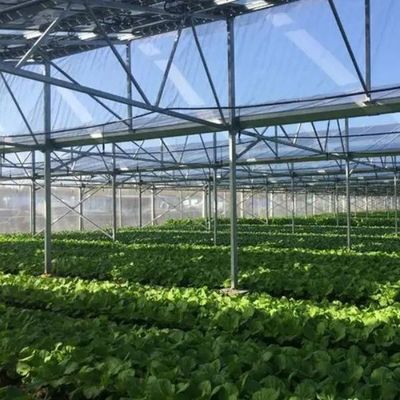 Des serres photovoltaïques commerciales innovantes à une ou plusieurs portées pour une croissance durable
