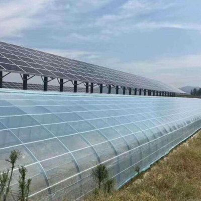 Des serres photovoltaïques commerciales innovantes à une ou plusieurs portées pour une croissance durable