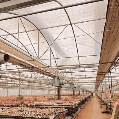 Serre à pellicule de production végétale avec système de tuyauterie et faible coût d'expédition