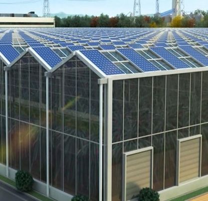 Politique de retour de 30 jours Solution de serre solaire multicouche à double couche