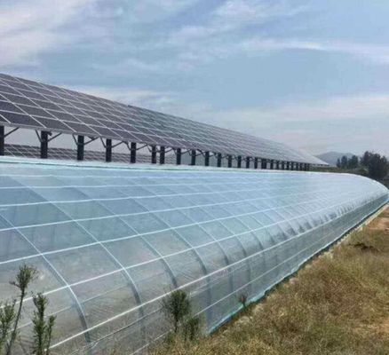 Politique de retour de 30 jours Solution de serre solaire multicouche à double couche