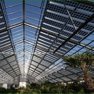 Serre photovoltaïque commerciale avec matériau de revêtement de film et chauffage non chauffé