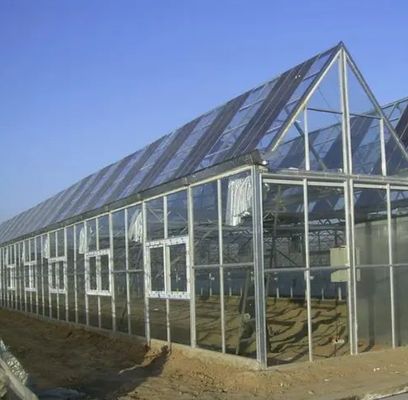 Serre photovoltaïque commerciale avec matériau de revêtement de film et chauffage non chauffé