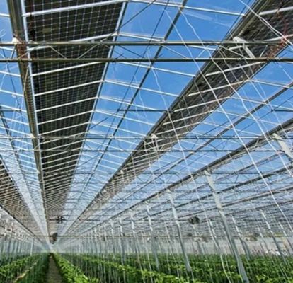 Système photovoltaïque à pellicule plastique PE/Po pour serre commerciale pour l'agriculture durable