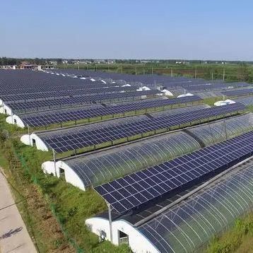 Conception d'une serre solaire innovante à plusieurs étendues pour le paiement initial et la commercialisation