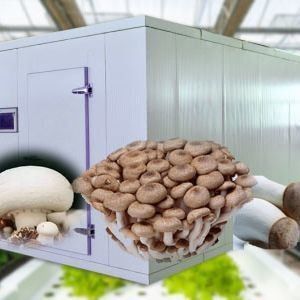 Serre de conteneur de transport pour la culture de champignons dans la conception intelligente JX-CG-0001