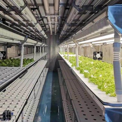 Serre de conteneur de transport pour la culture de champignons dans la conception intelligente JX-CG-0001