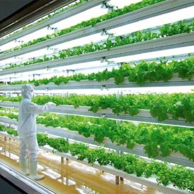 Serre de conteneur de transport pour la culture de champignons dans la conception intelligente JX-CG-0001